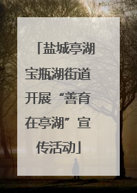 盐城亭湖宝瓶湖街道开展“善育在亭湖”宣传活动