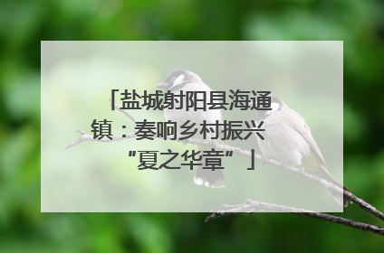 盐城射阳县海通镇：奏响乡村振兴“夏之华章”