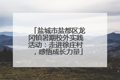 盐城市盐都区龙冈镇暑期校外实践活动：走进徐庄村，感悟成长力量