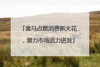 盒马点燃消费新火花，潜力市场活力迸发