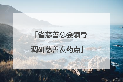 省慈善总会领导调研慈善发药点