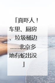 真吓人！车里、厨房、垃圾桶边……北京多地有蛇出没