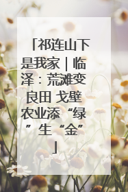 祁连山下是我家｜临泽：荒滩变良田 戈壁农业添“绿”生“金”