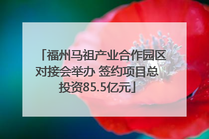 福州马祖产业合作园区对接会举办 签约项目总投资85.5亿元