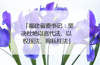 福建省委书记：坚决杜绝以言代法、以权压法、徇私枉法