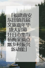 福建南安东田镇首届文旅嘉年华盛大启幕 圩日市集与杨梅采摘点燃乡村振兴新动能