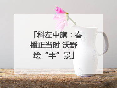 科左中旗：春播正当时 沃野绘“丰”景
