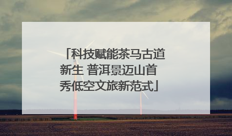 科技赋能茶马古道新生 普洱景迈山首秀低空文旅新范式