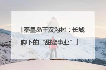 秦皇岛王汉沟村：长城脚下的“甜蜜事业”