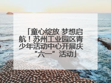 童心绽放 梦想启航！苏州工业园区青少年活动中心开展庆“六一”活动