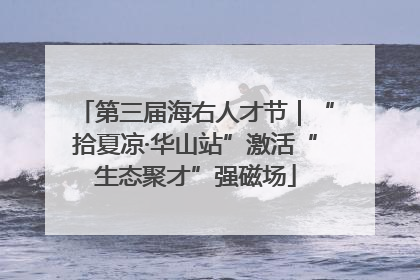 第三届海右人才节｜“拾夏凉·华山站”激活“生态聚才”强磁场