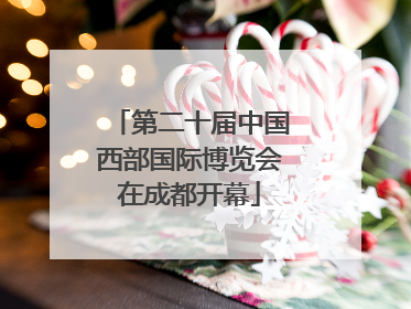第二十届中国西部国际博览会在成都开幕