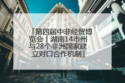 第四届中非经贸博览会丨湖南14市州与28个非洲国家建立对口合作机制