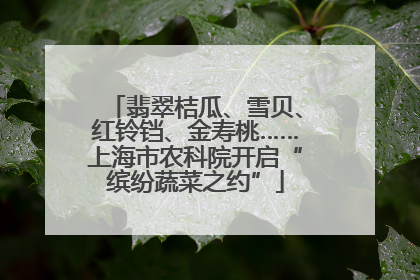 翡翠桔瓜、雪贝、红铃铛、金寿桃……上海市农科院开启“缤纷蔬菜之约”