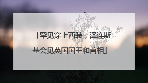 罕见穿上西装，泽连斯基会见英国国王和首相