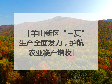 羊山新区“三夏”生产全面发力，护航农业稳产增收