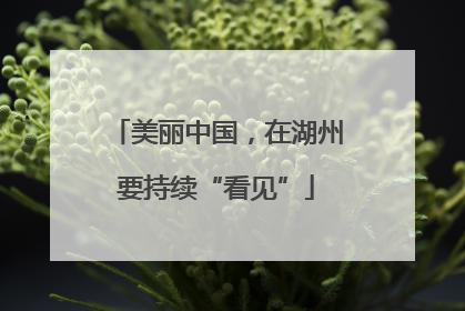 美丽中国，在湖州要持续“看见”