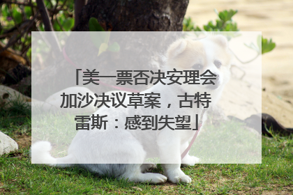 美一票否决安理会加沙决议草案，古特雷斯：感到失望