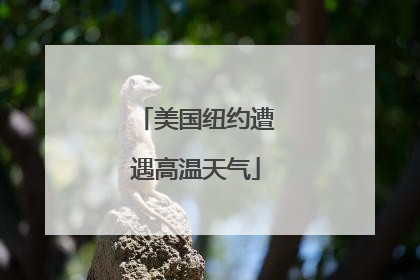 美国纽约遭遇高温天气