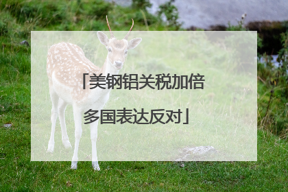 美钢铝关税加倍 多国表达反对