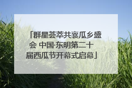 群星荟萃共襄瓜乡盛会 中国·东明第二十届西瓜节开幕式启幕