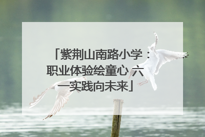 紫荆山南路小学：职业体验绘童心 六一实践向未来