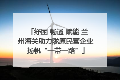 纾困 畅通 赋能 兰州海关助力陇原民营企业扬帆“一带一路”