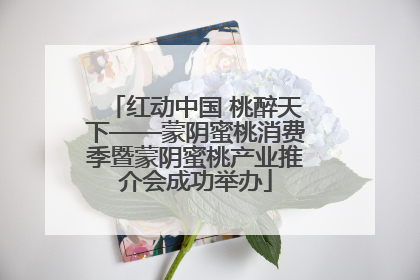 红动中国 桃醉天下——蒙阴蜜桃消费季暨蒙阴蜜桃产业推介会成功举办
