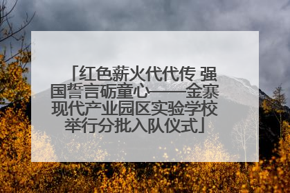 红色薪火代代传 强国誓言砺童心——金寨现代产业园区实验学校举行分批入队仪式