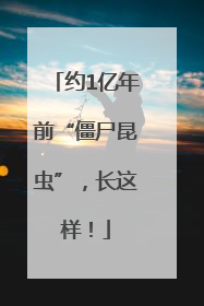 约1亿年前“僵尸昆虫”，长这样！