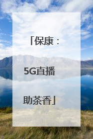 保康：5G直播助茶香
