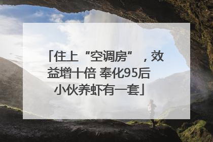 住上“空调房”，效益增十倍 奉化95后小伙养虾有一套