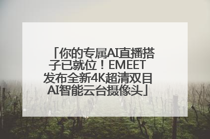 你的专属AI直播搭子已就位！EMEET发布全新4K超清双目AI智能云台摄像头