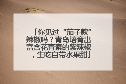 你见过“茄子款”辣椒吗？青岛培育出富含花青素的紫辣椒，生吃自带水果甜