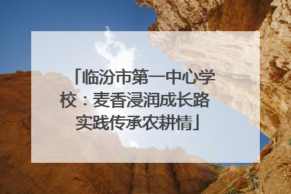 临汾市第一中心学校：麦香浸润成长路 实践传承农耕情