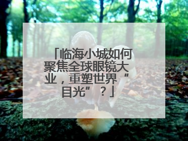 临海小城如何聚焦全球眼镜大业，重塑世界“目光”？
