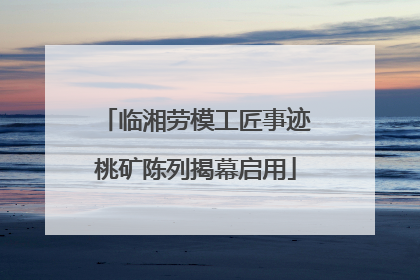 临湘劳模工匠事迹桃矿陈列揭幕启用