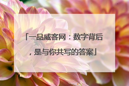 一品威客网：数字背后，是与你共写的答案