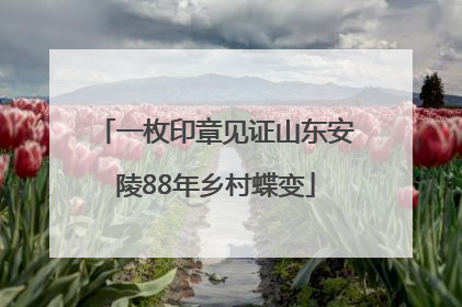 一枚印章见证山东安陵88年乡村蝶变