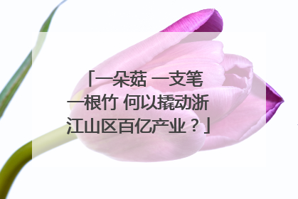 一朵菇 一支笔 一根竹 何以撬动浙江山区百亿产业？