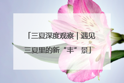 三夏深度观察｜遇见三夏里的新“丰”景