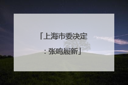 上海市委决定：张鸣履新