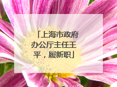 上海市政府办公厅主任王平，履新职