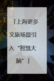 上海更多文旅场景引入“智慧大脑”