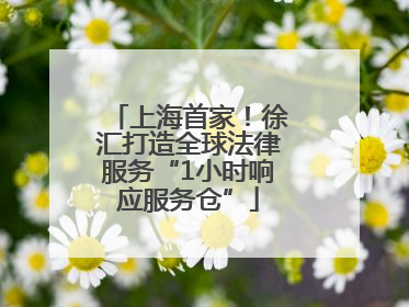 上海首家！徐汇打造全球法律服务“1小时响应服务仓”