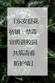 东安县花桥镇：禁毒宣传进校园 共筑青春防护墙