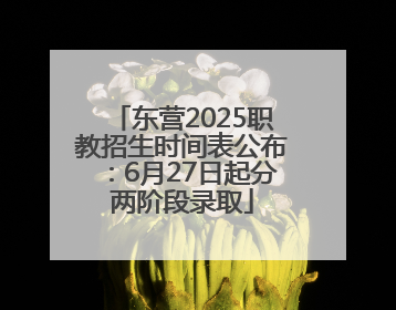 东营2025职教招生时间表公布：6月27日起分两阶段录取