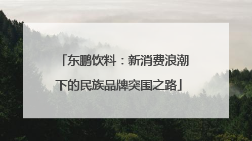 东鹏饮料：新消费浪潮下的民族品牌突围之路