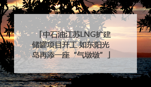 中石油江苏LNG扩建储罐项目开工 如东阳光岛再添一座“气墩墩”
