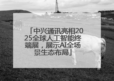 中兴通讯亮相2025全球人工智能终端展，展示AI全场景生态布局